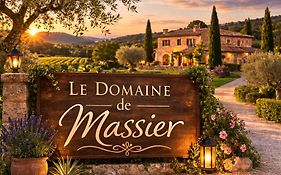 Les Petites Bulles de Massier